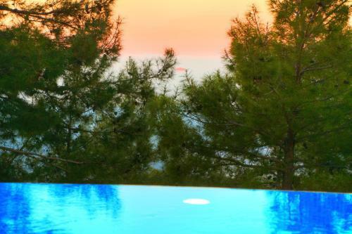 Villa Alya