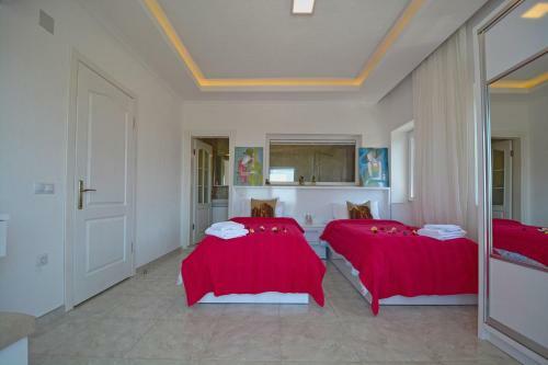 Villa Alisa