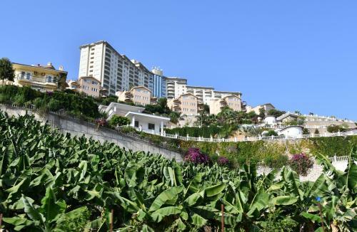 Apartments In Goldcity Tourist Complex