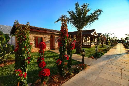 Bed & Breakfast Sedir Park - Beach Bungalow