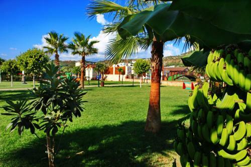 Bed & Breakfast Sedir Park - Beach Bungalow