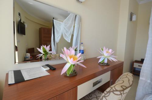 Hotel Cachet - Adult Only +14