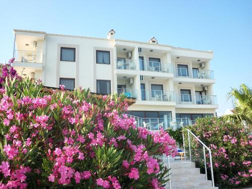 Hotel Cachet - Adult Only +14