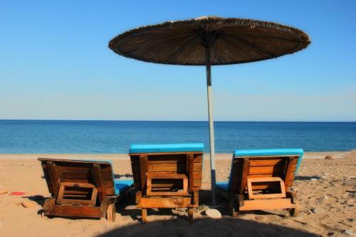 Bed & Breakfast Kara Kedi Beach Bungalow
