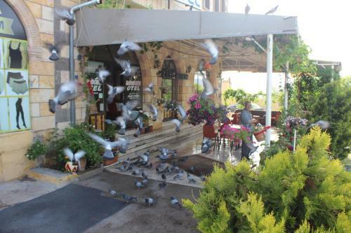 Albergue Hotels Crazyhorse