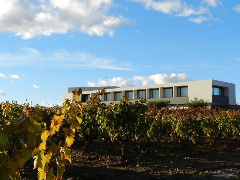 Hotel Bodega Finca De Los Arandinos