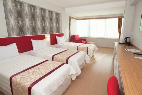 Hotel Samsun Konaks