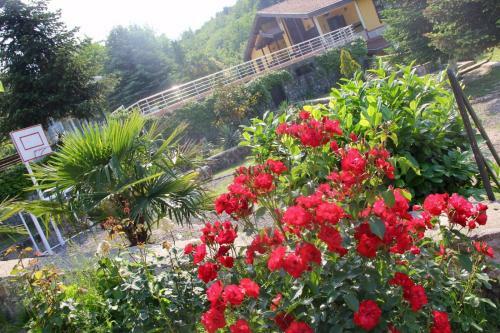 Gungor Garden