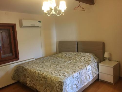 Villa Sapanca Manzara V?lla