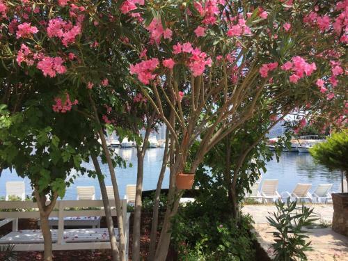 Bed & Breakfast Sarma??k Hotel