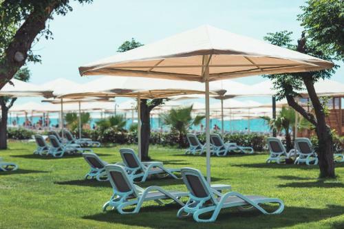 Hotel Paloma Orenda Resort