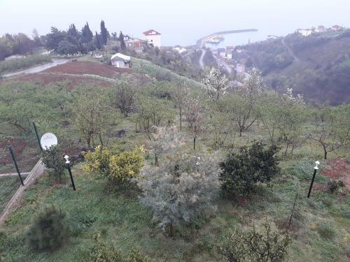 Villa Trabzon Akcakale Palace