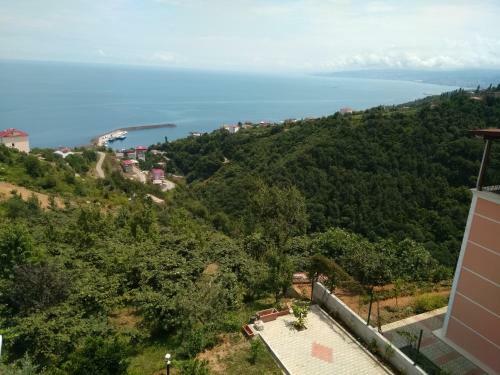 Villa Trabzon Akcakale Palace