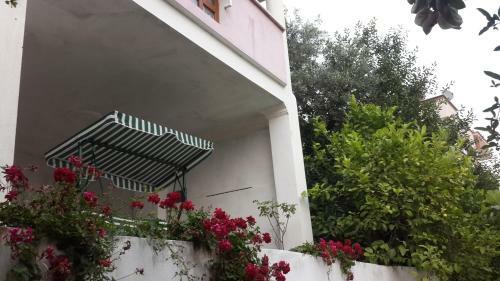 Zem Zem Villa