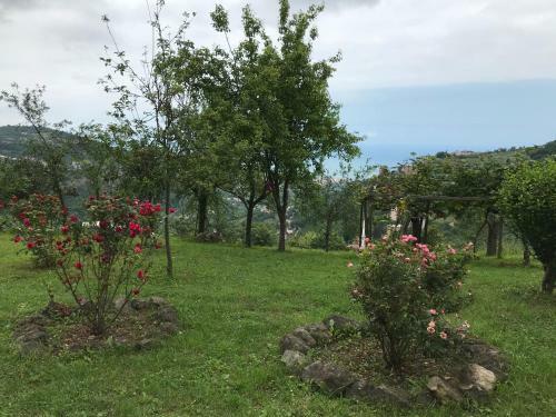 Sea & Nature Villa Hisar