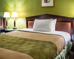 Hotel Econo Lodge Near Sentara Leigh Hospital