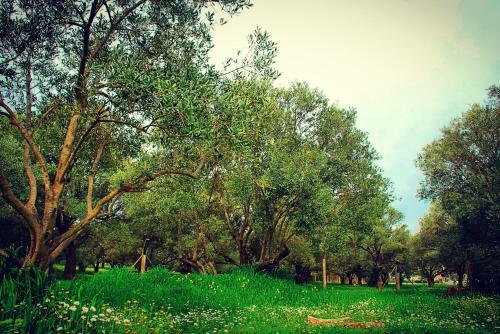 Bed & Breakfast Urla Villanova ( 10+ )