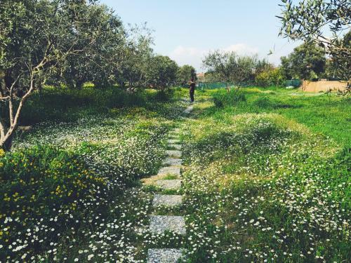 Bed & Breakfast Urla Villanova ( 10+ )