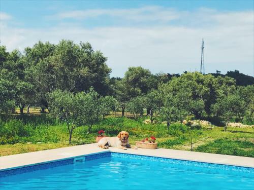 Bed & Breakfast Urla Villanova ( 10+ )