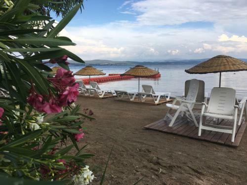 Hotel Burla Han