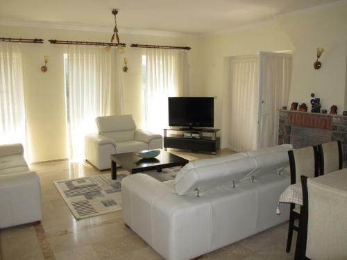 Fiesta Villa 01