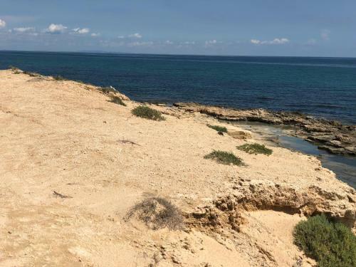 Apartamento R�sidence Les Violettes