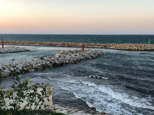 Apartamento R�sidence Les Violettes