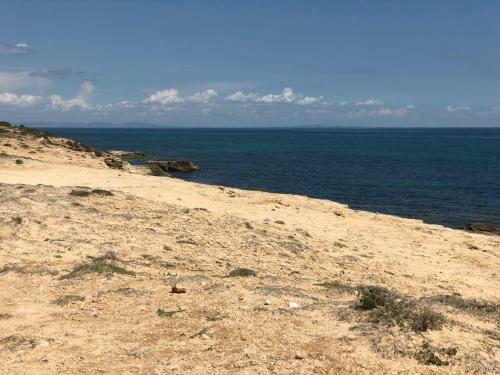 Apartamento R�sidence Les Violettes