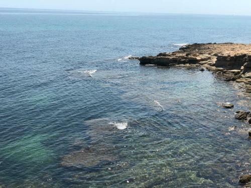 Apartamento R�sidence Les Violettes