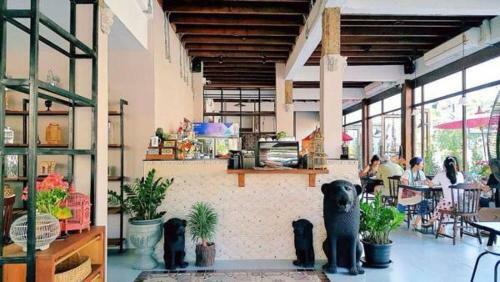 Bed & Breakfast See You Soon, Chiang Mai