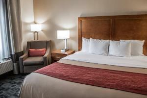 Comfort Inn North Joliet Hotel