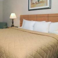 Comfort Inn North Joliet Hotel