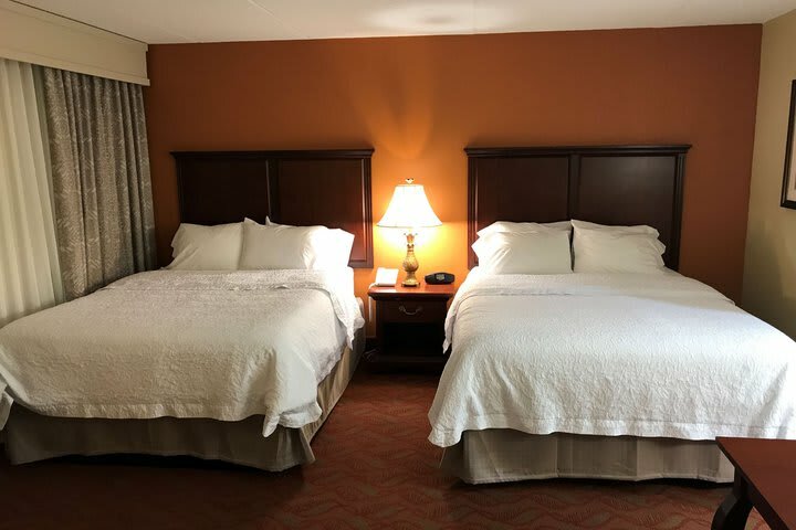 Hotel Hampton Inn Suites Bolingbrook