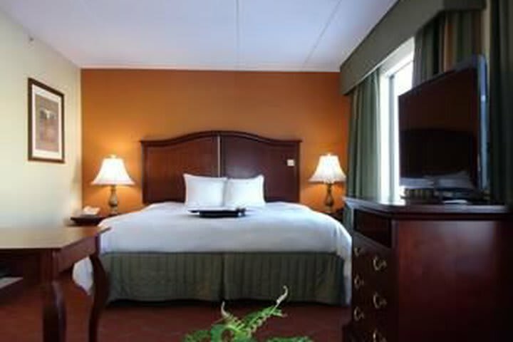Hotel Hampton Inn Suites Bolingbrook