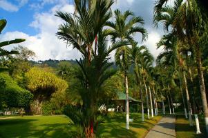 Hotel Villas Rio Mar