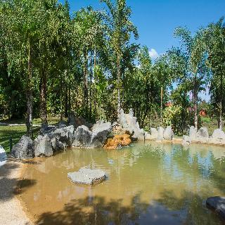 Hotel Arenal Paraiso Resort & Spa