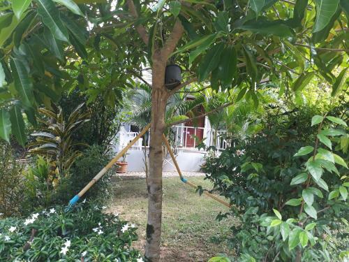 Hostal Baansuan Khaolak