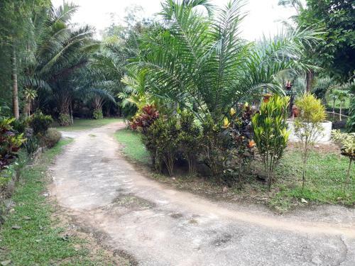 Hostal Baansuan Khaolak