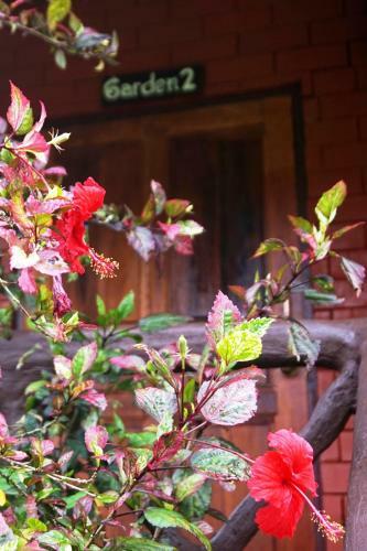 Hotel Khao Sok Riverfront Resort
