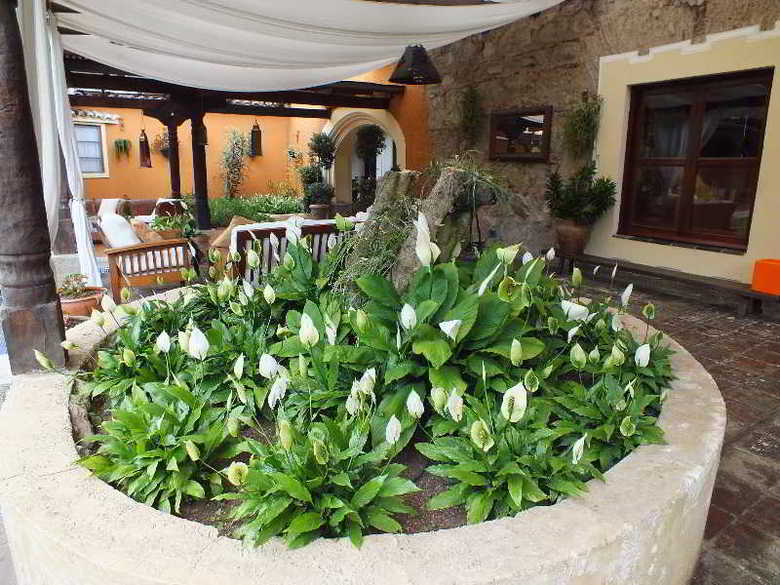 Hotel Casa Santa Rosa Boutique