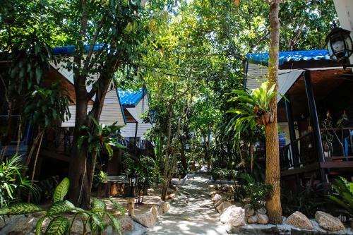 Black Wood Hostel