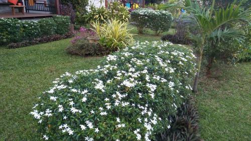 Sean Sabai Home E Ristobar