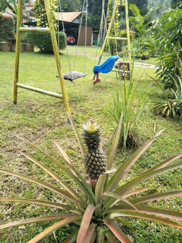 Sean Sabai Home E Ristobar