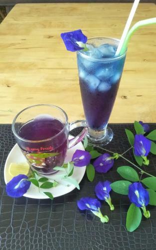 Sean Sabai Home E Ristobar