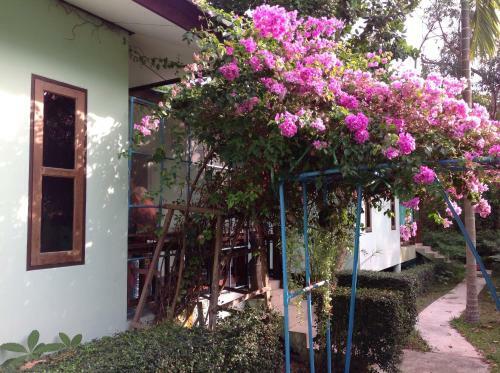 Hostal P&pu Guest House