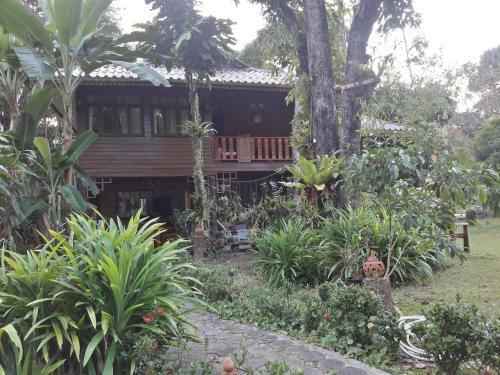 Hotel Koh Kood Little Hut