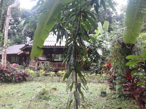 Hotel Koh Kood Little Hut