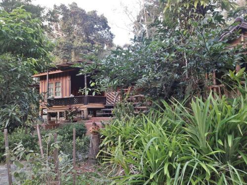 Hotel Koh Kood Little Hut