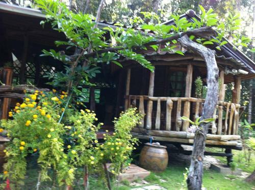 Hotel Koh Kood Little Hut