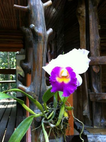 Hotel Koh Kood Little Hut